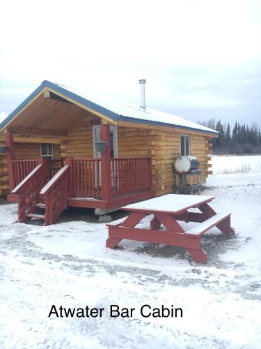 a log cabin with a picnic table in front of it at Alaska Log Cabins on the Pond in Clear Creek Park