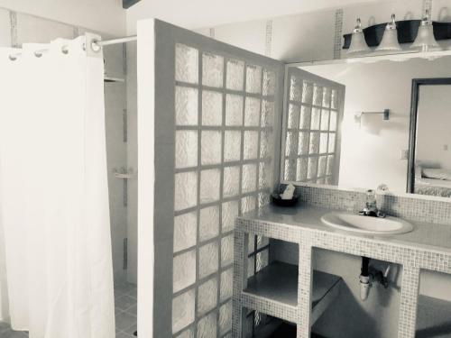 a bathroom with a sink and a mirror at The Log Cab-Inn in San Ignacio