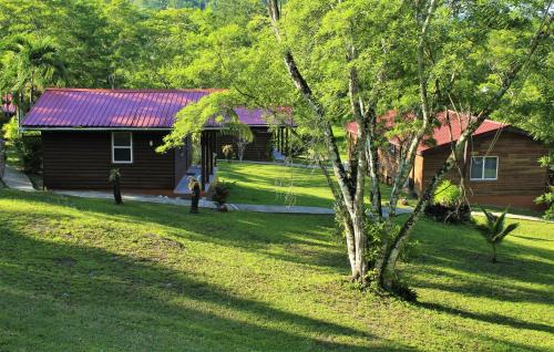 a house with a tree in front of a yard at The Log Cab-Inn in San Ignacio