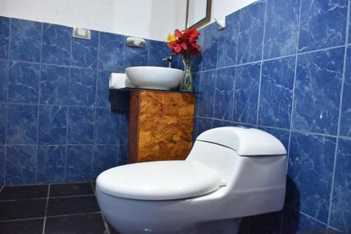 Baño de azulejos azules con aseo y lavamanos en Oasis Paraiso Ecolodge en Cabanaconde