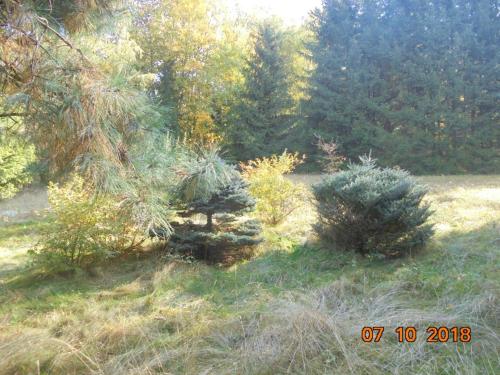 Taman di luar Wójtówka 16