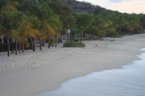 a beach with palm trees and people walking on the sand at Treehouse Cottage in Five Islands Village