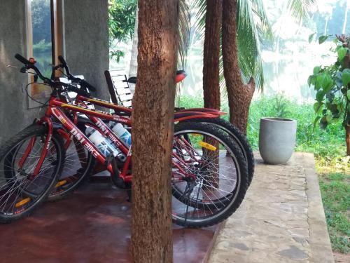 a group of bikes parked next to a tree at Yonan River Face Safari Resort in Udawalawe