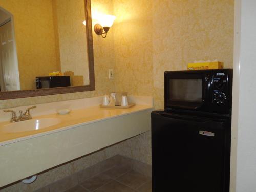 La salle de bains est pourvue d'un lavabo et d'une télévision sur un réfrigérateur. dans l'établissement Atlantis Inn, à Rehoboth Beach