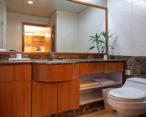 大連的住宿－大连雅泰服务公寓（原盛捷港湾服务公寓），一间带水槽、卫生间和镜子的浴室