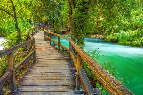 a wooden bridge over a river in a forest at Villas Arausana & Antonina in Vodice