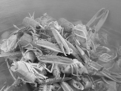 a pile of crabs sitting on top of the water at Hostellerie d'Héloïse Logis in Cluny