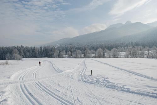 a person is skiing on a snow covered field at Hotel Eco Tatry Holiday& Spa in Kościelisko