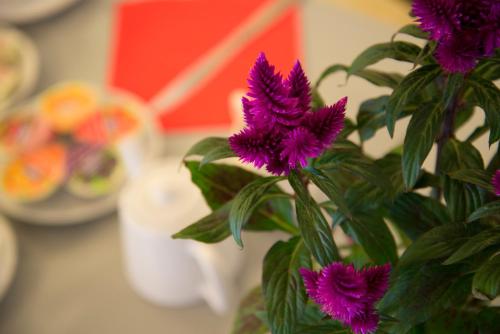 Gallery image of Hotel L'Escale in Aigues-Mortes