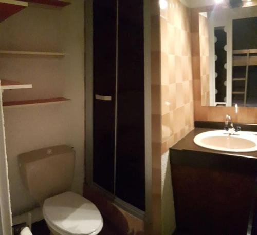a bathroom with a toilet and a sink at Le Champame in Mont-de-Lans