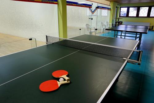 Stolní tenis v ubytování Trans World Hotel Auefeld nebo okolí