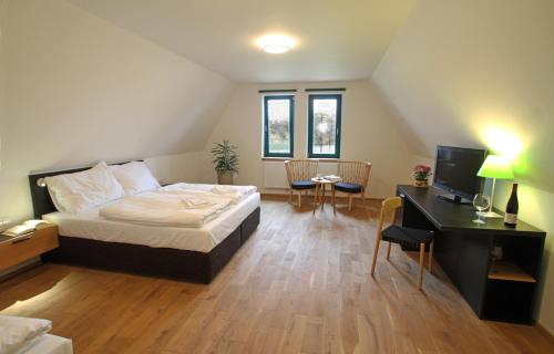 a bedroom with a bed and a desk and a television at Hotel Agnes in Bohdaneč