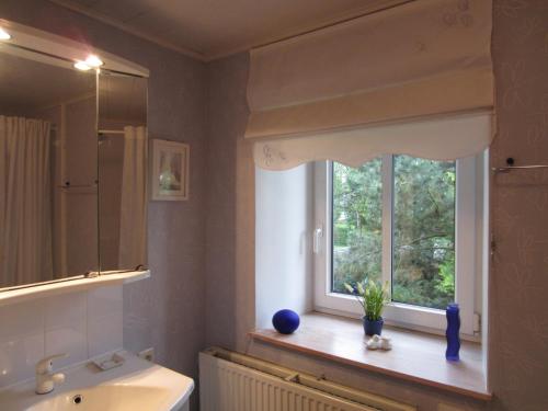 ein Bad mit einem Waschbecken und einem Fenster in der Unterkunft Au Jardin De Mon Père in Jalhay