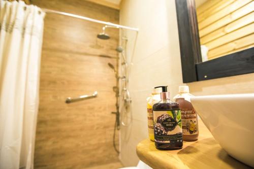 a bathroom with a shower and a sink and a toilet at Kalfu Patagonia in Cochrane