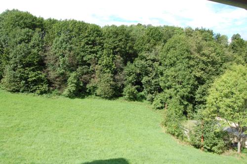 an aerial view of a field with trees at Penzion u můstku Jiřího Rašky in Trojanovice