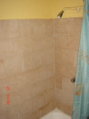 a bathroom with a shower with a shower curtain at Dre Broeders Apartments Juan Dolio in Juan Dolio