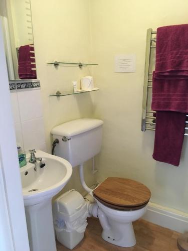 a bathroom with a white toilet and a sink at Ullathorns Farm in Kirkby Lonsdale