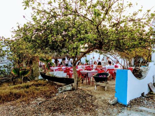 a restaurant with tables and chairs under a tree at Galerazambahostal in Galerazamba