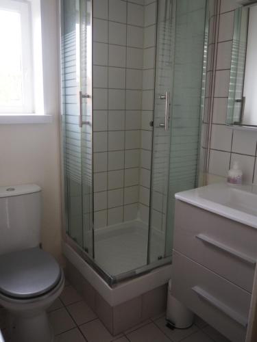 W łazience znajduje się prysznic, toaleta i umywalka. w obiekcie L'Etage w mieście Rennes
