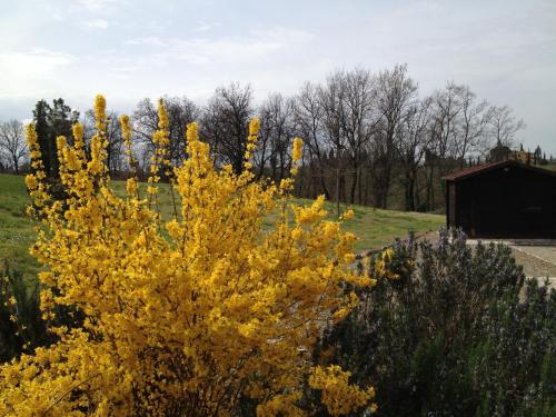 Agriturismo Le Docce – Photos 4