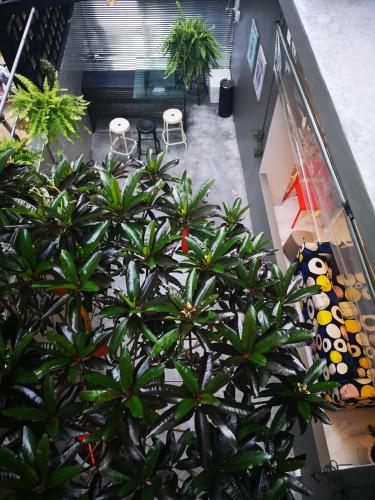 Zahrada ubytování Get GuestHouse 2 ( Sangsri soi 4)