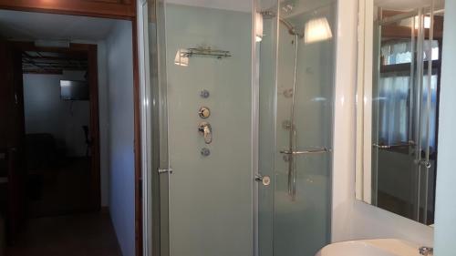 グレッソネイ・サイント・ジェアンにあるGressoney MiniSuiteのバスルーム(シャワー、トイレ、シンク付)