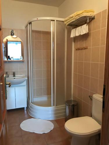 a bathroom with a shower and a toilet and a sink at Penzión Slalom in Tatranská Lomnica