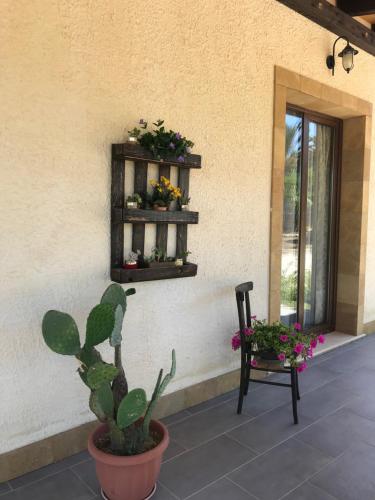 un patio con una planta, una silla y flores en Villa Agape, en Marina di Noto