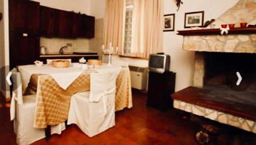 een woonkamer met een tafel en een open haard bij AGRITURISMO NUOVA FATTORIA in Borgo Sabotino