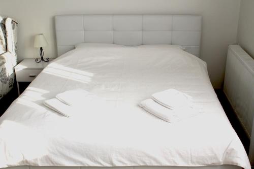 Foto Belgradis asuva majutusasutuse Rooftop Apartment Belgrade galeriist