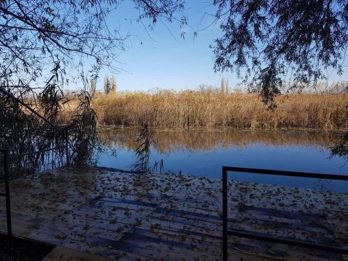 a view of a body of water with trees at Klágya Vendégház in Dávod