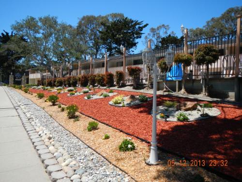 a garden with plants and rocks and a fence at Americas Best Value Presidents Inn on Munras in Monterey