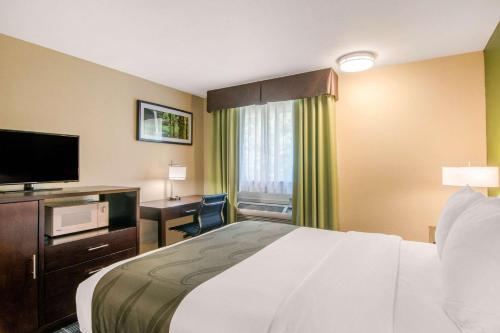a hotel room with a bed and a desk and a television at Quality Inn & Suites Albany Corvallis in Albany