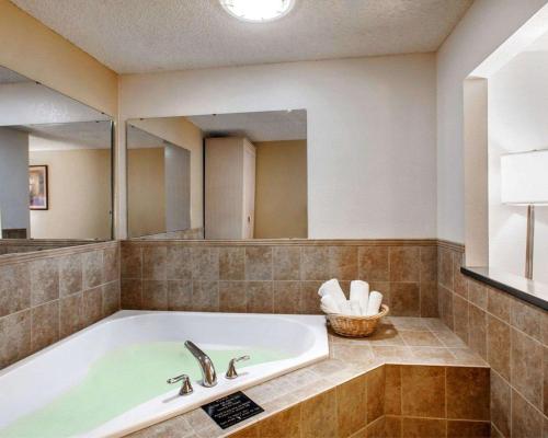 A bathroom at Quality Inn & Suites Springfield