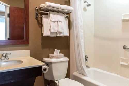 uma casa de banho com um WC, um lavatório e um chuveiro em Comfort Suites Scranton near Montage Mountain em Scranton