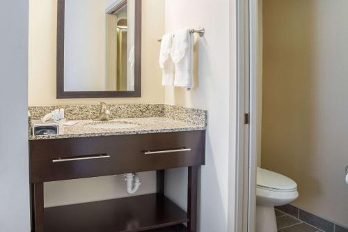 a bathroom with a sink and a toilet at Sleep Inn Bend in Bend