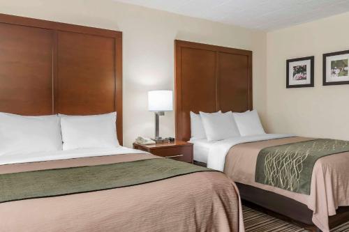 a hotel room with two beds and a lamp at Comfort Inn - Pocono Mountains in White Haven