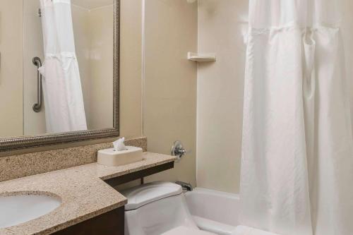 Koupelna v ubytování Comfort Inn - Pocono Mountains