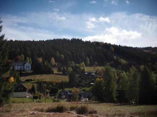 a small village on a hill with trees at Greizer Kammhütte Gaststätte & Pension in Klingenthal