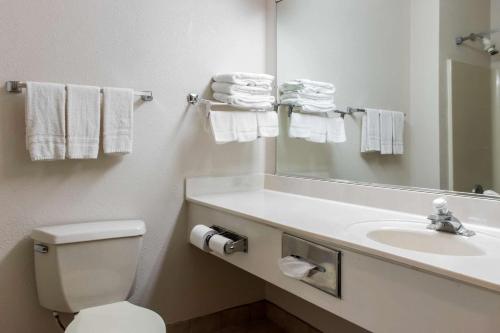 a bathroom with a sink and a toilet and a mirror at Econo Lodge Carlisle in Carlisle