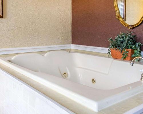 uma banheira branca numa casa de banho com plantas em Clarion Inn Strasburg - Lancaster em Strasburg