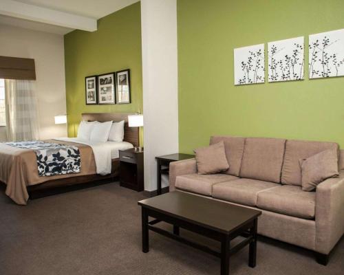 Гостиная зона в Sleep Inn & Suites Harrisburg - Hershey North