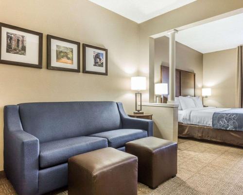 Gallery image of Comfort Suites at Isle of Palms Connector in Charleston