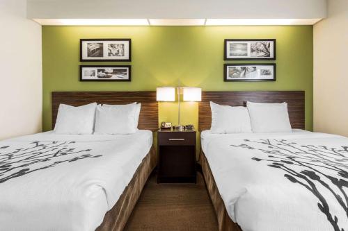 duas camas num quarto de hotel com paredes verdes em Sleep Inn Charleston - West Ashley em Charleston
