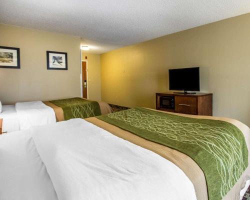 a hotel room with three beds and a flat screen tv at Comfort Inn & Suites Walterboro I-95 in Walterboro