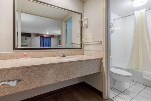 W łazience znajduje się umywalka, toaleta i lustro. w obiekcie Econo Lodge w mieście Aiken