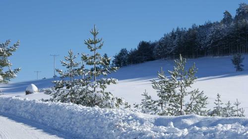 Previja Zlatibor Chalet pozimi