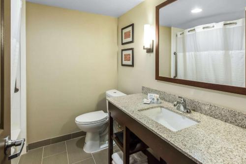 a bathroom with a toilet and a sink and a mirror at Comfort Inn & Suites Knoxville West in Knoxville