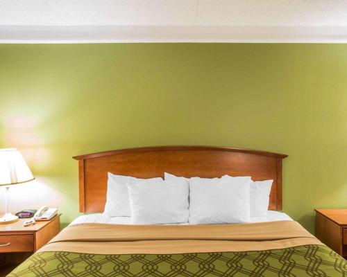 a bed in a hotel room with a green wall at Econo Lodge Knoxville North in Knoxville