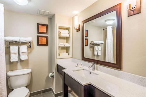 a bathroom with a sink and a toilet and a mirror at Comfort Inn & Suites Lookout Mountain in Chattanooga